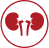 kidney icon