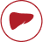 liver icon